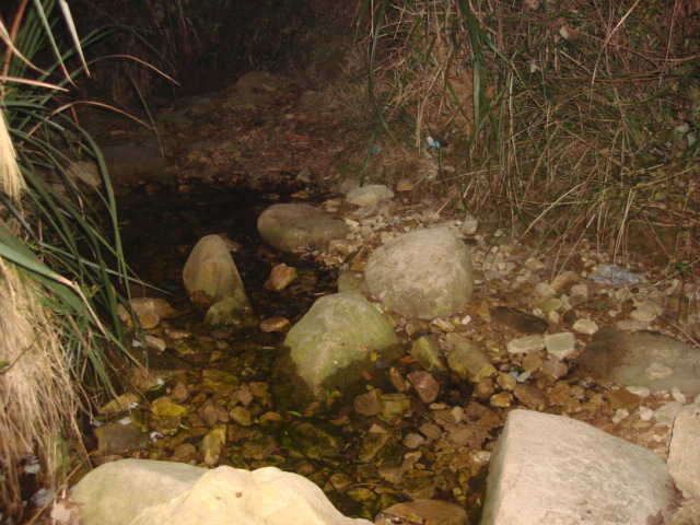 DSC02323.JPG