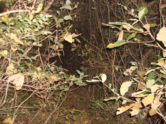 DSC02338.JPG