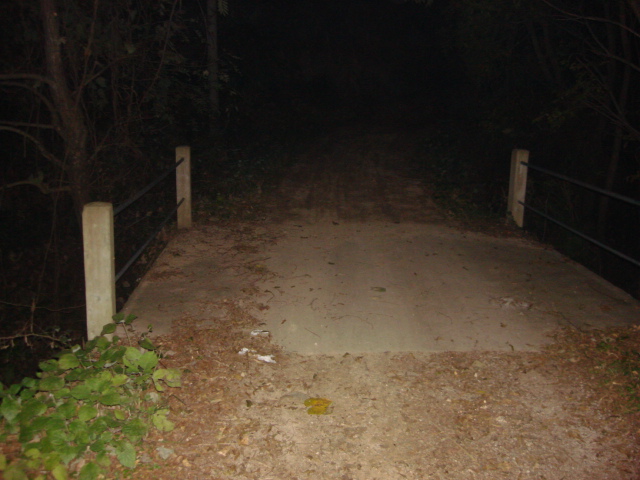 DSC02313.JPG