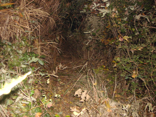 DSC02336.JPG