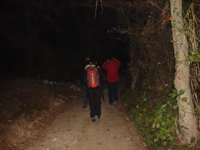 DSC02311.JPG