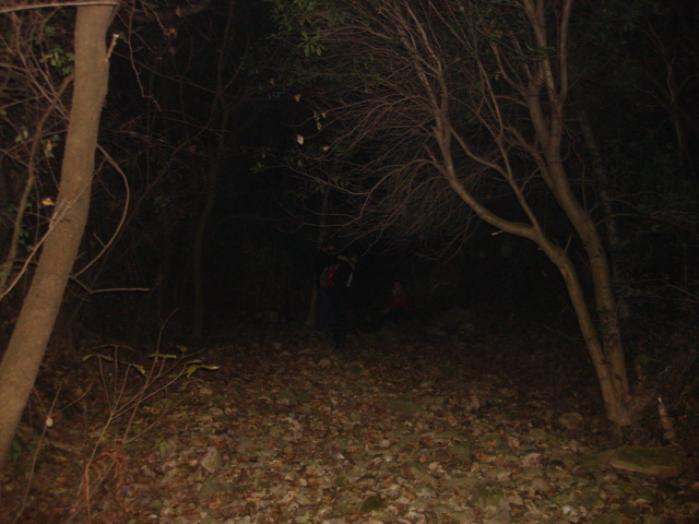 DSC02328.JPG