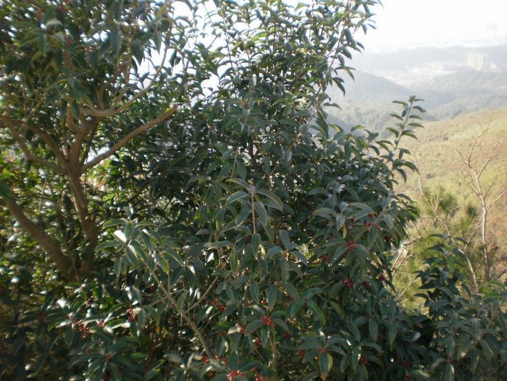PB280012.JPG