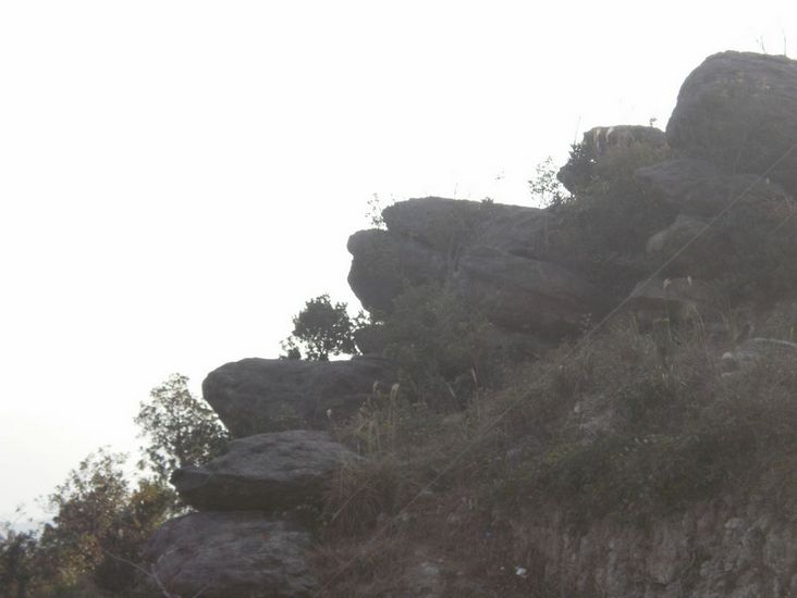 PB280017.JPG