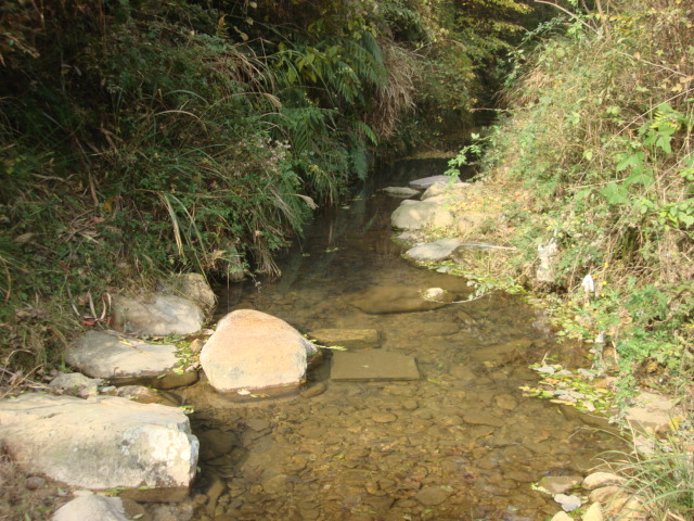 DSC02466.JPG
