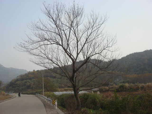DSC02412.JPG