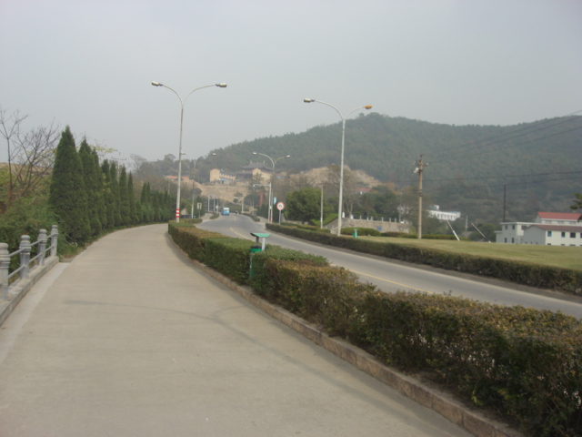 DSC02398.JPG