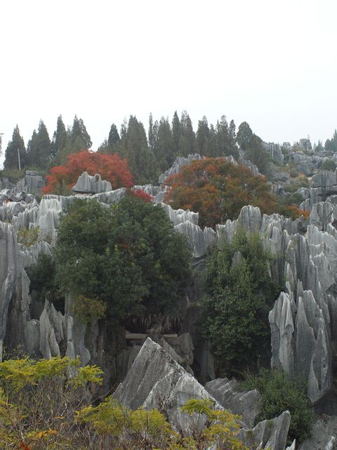 FILE0411.jpg