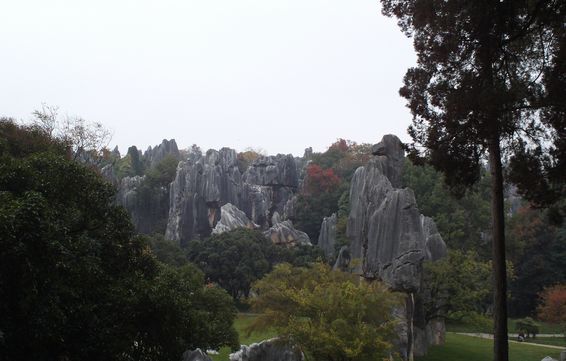 FILE0337.jpg