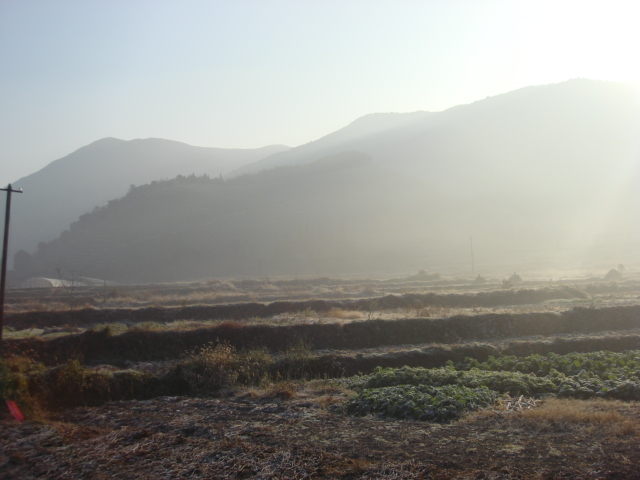 DSC02500.JPG