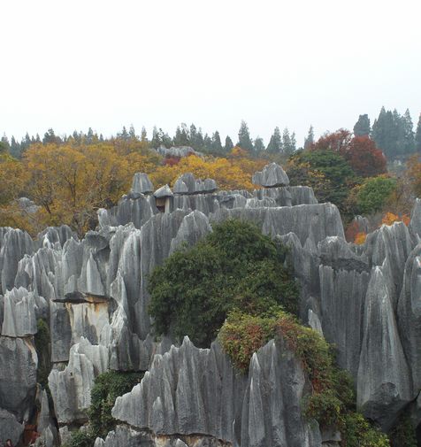 FILE0410.jpg