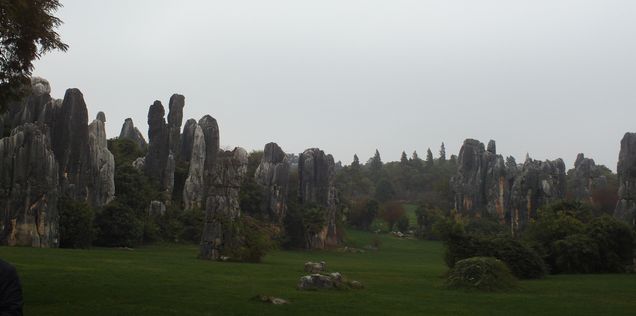 FILE0471.jpg