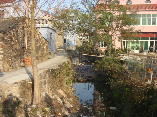 DSC02491.JPG