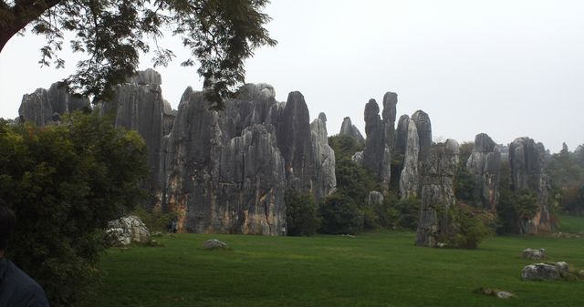 FILE0473.jpg