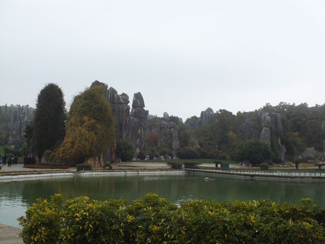FILE0459.jpg
