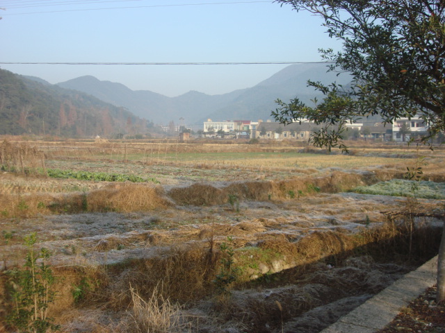 DSC02494.JPG