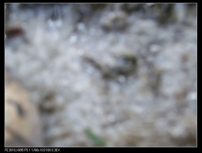 nEO_IMG_PB290035.jpg