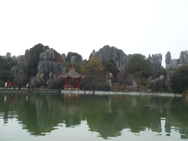 FILE0465.jpg