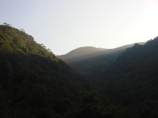 DSC02535.JPG
