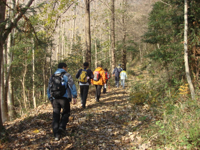DSC02558.JPG
