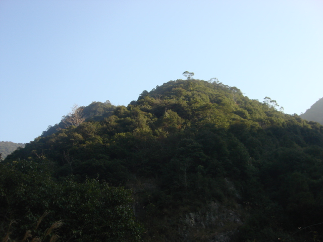DSC02539.JPG