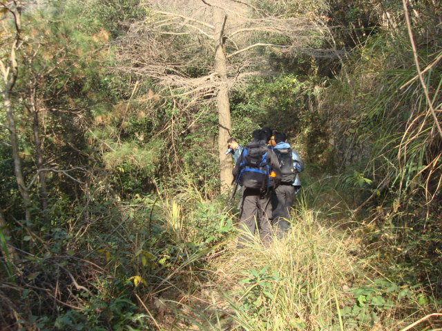 DSC02545.JPG