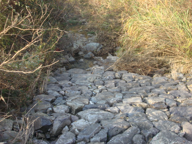 DSC02523.JPG