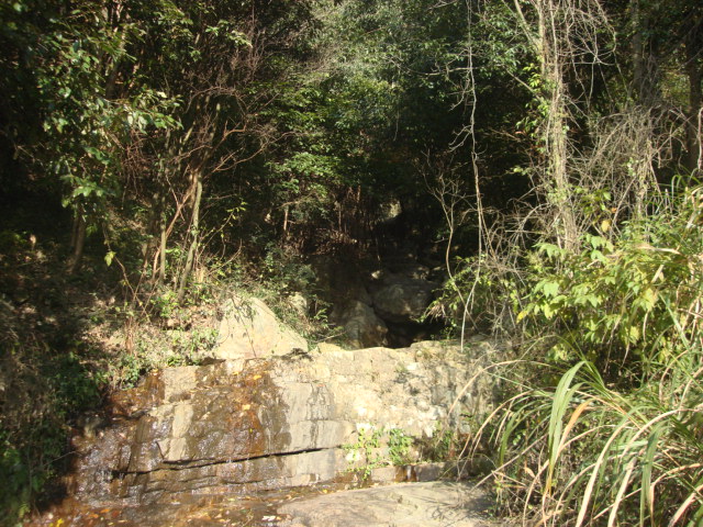 DSC02550.JPG