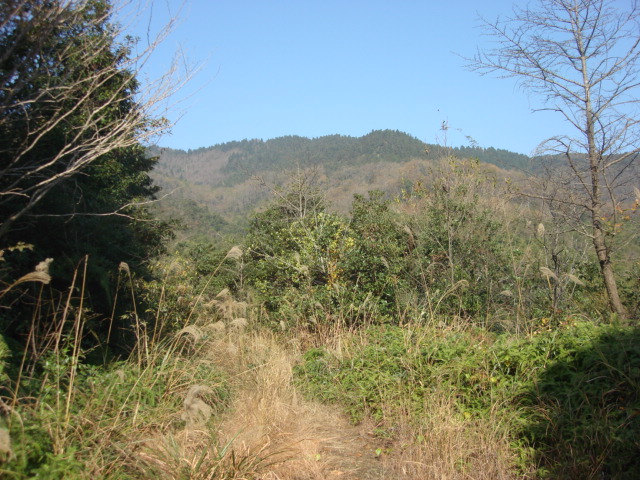 DSC02570.JPG