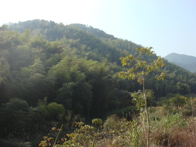 DSC02685.JPG