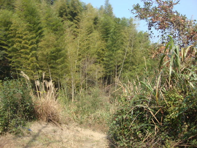 DSC02666.JPG