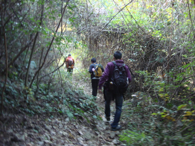 DSC02805.JPG