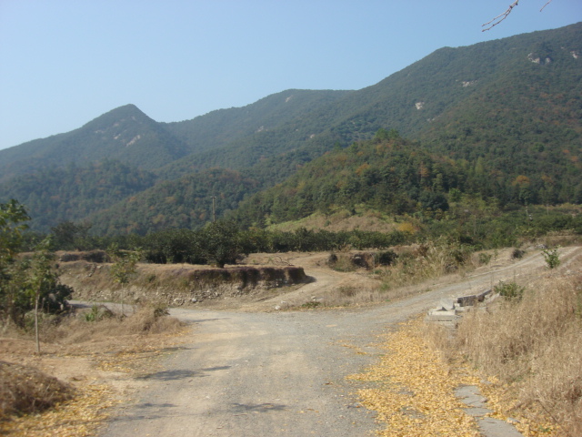 DSC02686.JPG