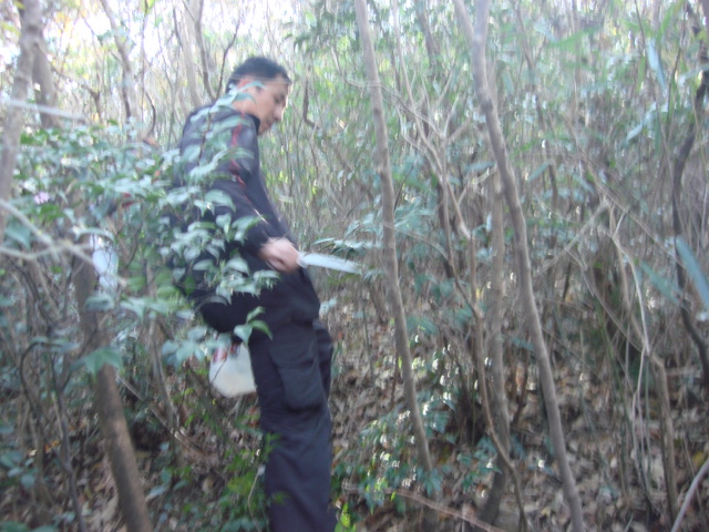 开路先锋