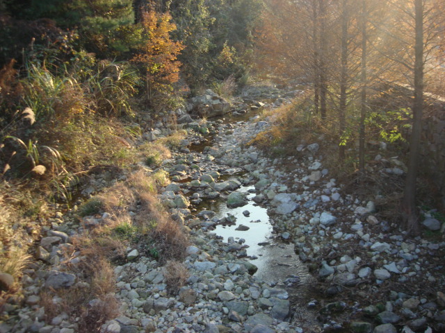 DSC02821.JPG