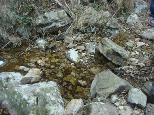 DSC02694.JPG