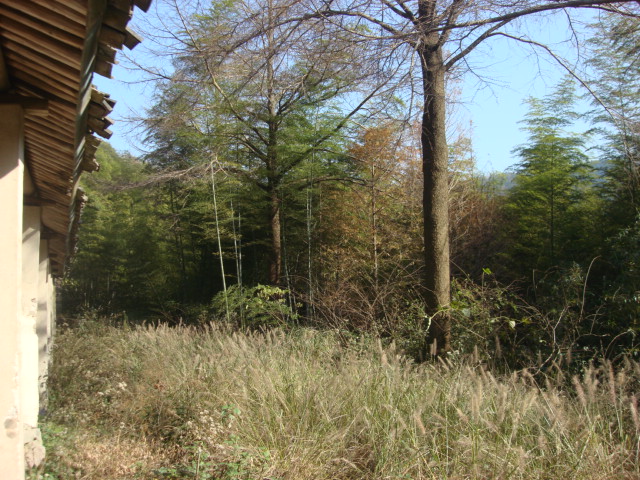 DSC02598.JPG