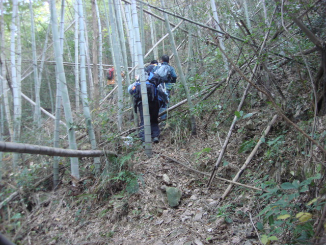 DSC02719.JPG