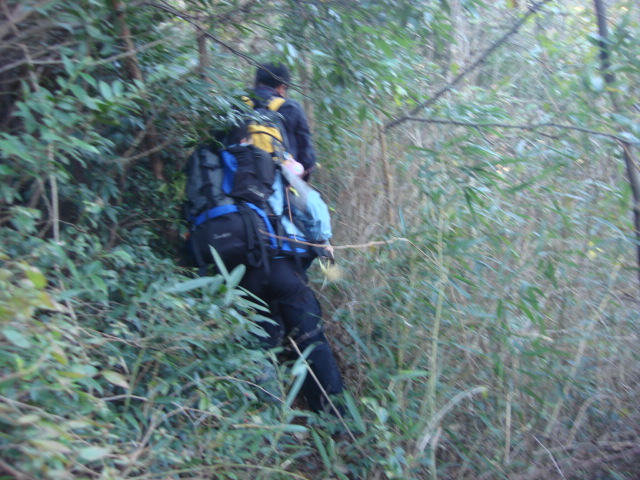 DSC02721.JPG