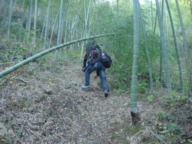 DSC02710.JPG
