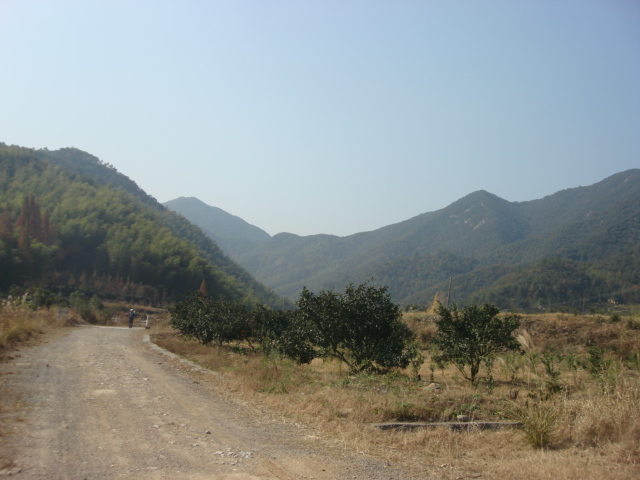 DSC02677.JPG