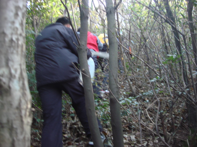 DSC02747.JPG