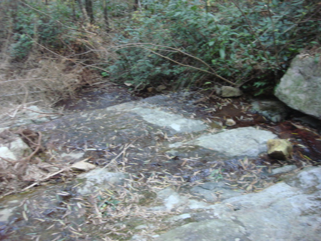 DSC02651.JPG