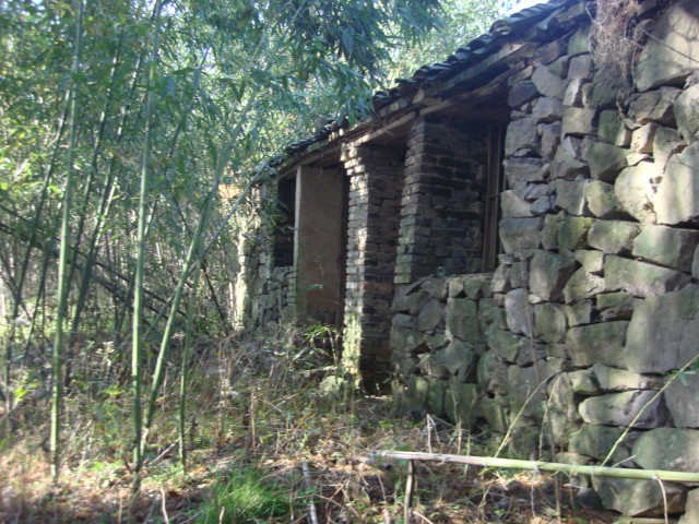 DSC02581.JPG