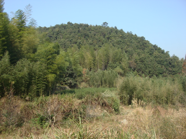 DSC02669.JPG
