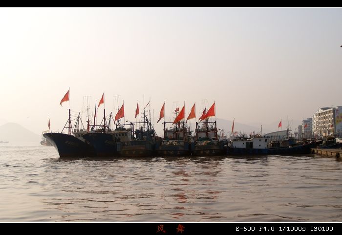 P1011907_光影_1_neo_bak.jpg