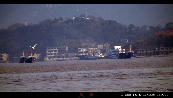 P1011966_光影_2.jpg