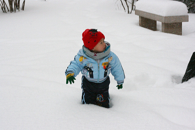 雪天7.jpg