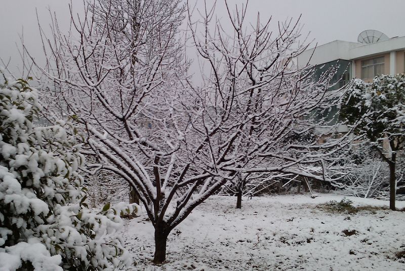 IMAG0023.JPG