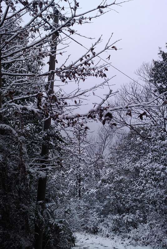 IMAG0098.jpg